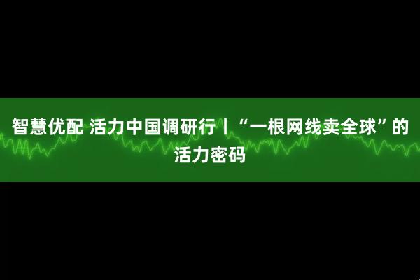 智慧优配 活力中国调研行丨“一根网线卖全球”的活力密码
