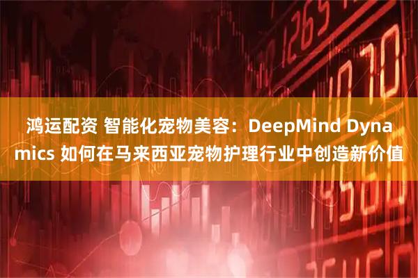 鸿运配资 智能化宠物美容：DeepMind Dynamics 如何在马来西亚宠物护理行业中创造新价值