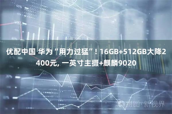 优配中国 华为“用力过猛”! 16GB+512GB大降2400元, 一英寸主摄+麒麟9020