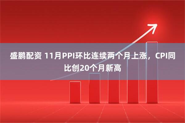 盛鹏配资 11月PPI环比连续两个月上涨，CPI同比创20个月新高
