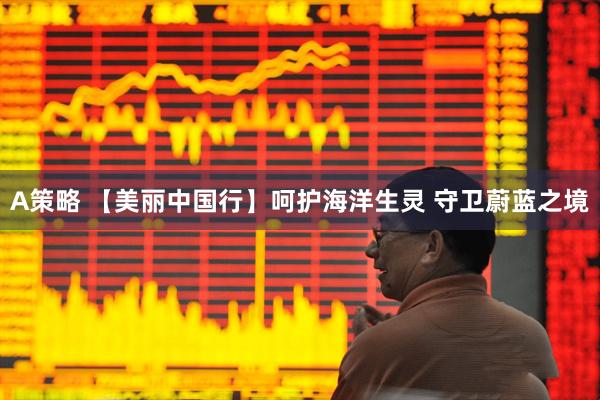 A策略 【美丽中国行】呵护海洋生灵 守卫蔚蓝之境